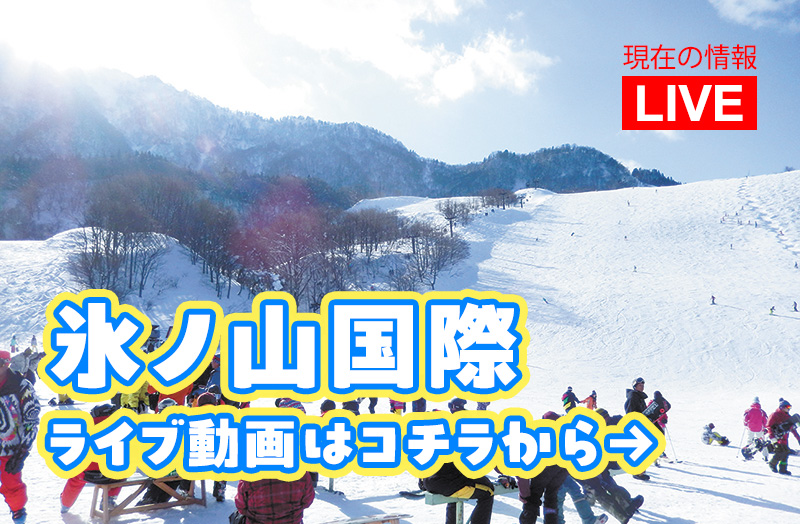 ゲレンデ情報はこちら